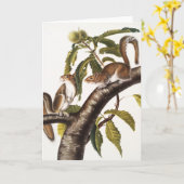Carte Écureuil gris de Caroline (Sciurus Carolinensis) (Fleur jaune)