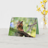 Carte Écureuil harmonique (Fleur jaune)