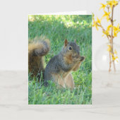 Carte Écureuil mangeant des glands (Fleur jaune)