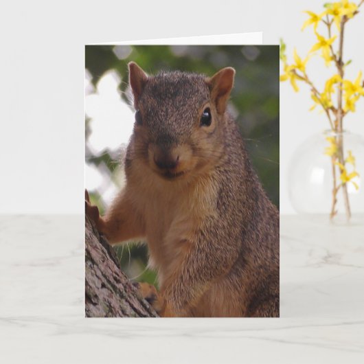 Carte Écureuil mignon dans le vide de l'arbre (Fleur jaune)