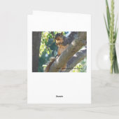 Carte Écureuil, Penser À Vous (Dos)