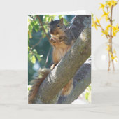 Carte Écureuil, Penser À Vous (Fleur jaune)