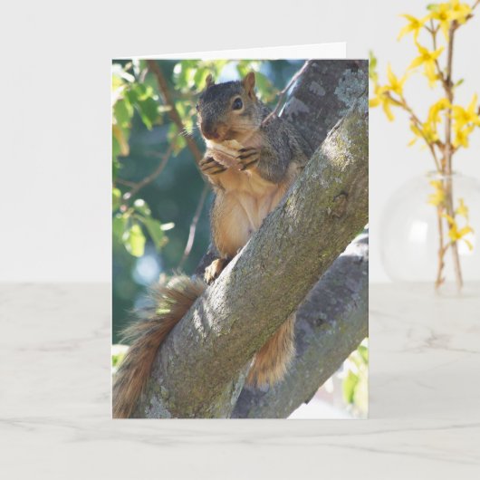 Carte Écureuil, Penser À Vous (Fleur jaune)