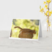 Carte Écureuil Relaxant (Fleur jaune)