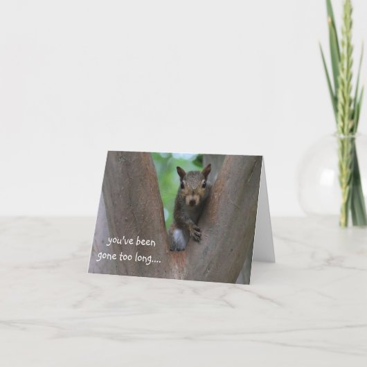 Carte Écureuil solitaire dans l'arbre, tu me manques (Devant)