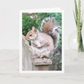 Carte Écureuil sur un poteau (Devant)