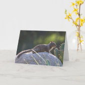 Carte Écureuil terrestre de Californie (Fleur jaune)