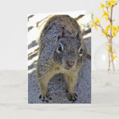 Carte Écureuil terrestre de Californie (Fleur jaune)