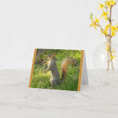 Carte Écureuil trouvé avec l'image de pissenlit (Fleur jaune)