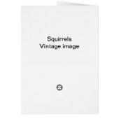 Carte écureuils (Dos)