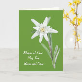 Carte Edelweiss (Fleur jaune)