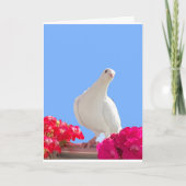 Carte éditable Colombe Blanche (Devant)