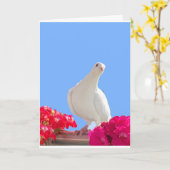 Carte éditable Colombe Blanche (Fleur jaune)