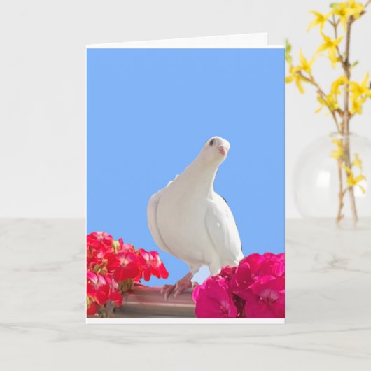 Carte éditable Colombe Blanche (Fleur jaune)