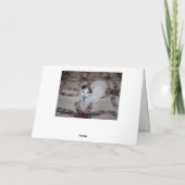 Carte Édredon, montre de Dieu de mai au-dessus de vous (Dos)