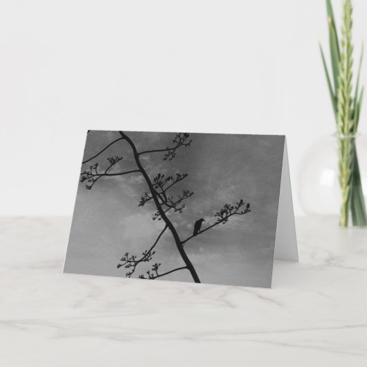 Carte Éffrayant Bird sur limbe de membre "Happy Hallowee (Devant)