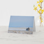 Carte Église Le Havre, Montana de peuplier (Fleur jaune)