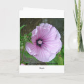 Carte Église Sainte-Marie (Dos)