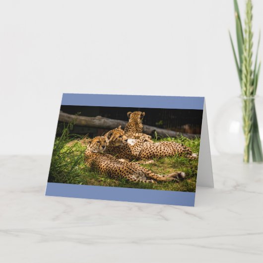 Carte Eh bien, je ne peux pas le voir ! (Devant)