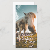 Carte Einen schönen Valentinstag mit schauendem Pferd (Devant / Derrière)