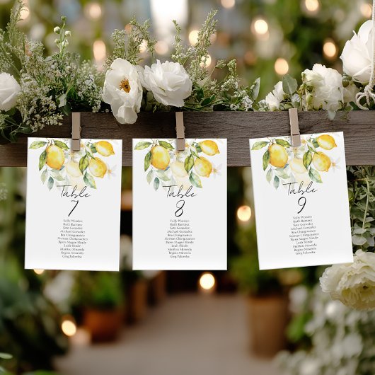 Carte Elegant citrus table number seating chart cards