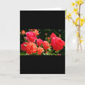 Carte Elégant corail rouge orange rose jardin rose (Fleur jaune)
