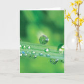 Carte Elégant Dew Drop Note Card Avec Poem (Fleur jaune)