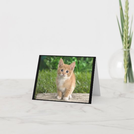 Carte Elegant Kitty Notecard (Devant)