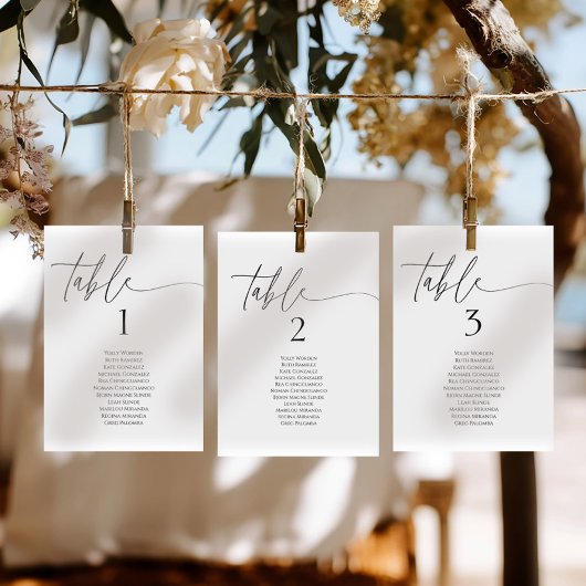 Carte Elegant minimalist table number seating chart card