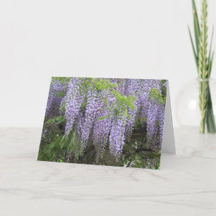 Carte Élégant Moderne Purple Fleurs De Wisteria Se Font