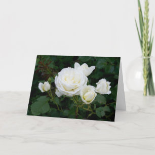 Carte Elégant Moderne Roses Blanches Fleurs Photo Sympat