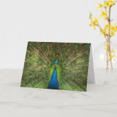 Carte Elégant Peacock Blue Green Feathers Photo (Fleur jaune)