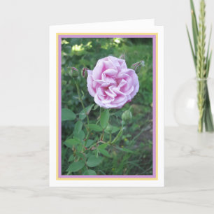 Carte Élégant Rose rose rose violet moderne photo Gold F