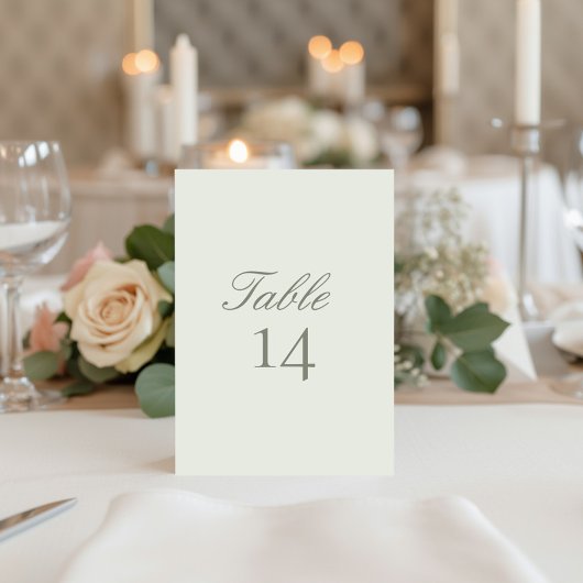 Carte élégante de numéro de table de mariage moder
