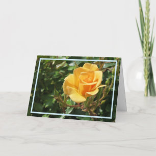 Carte Elégante Rose Jaune Photo Cadre Élégant