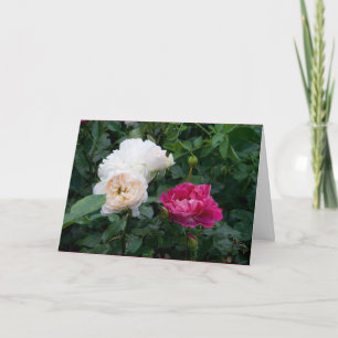 Carte Élégantes roses crème roses fleurs roses modernes