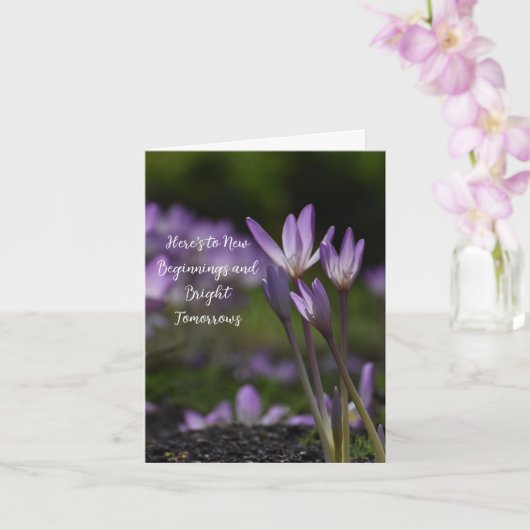 Carte Élégants débuts (Orchidée)