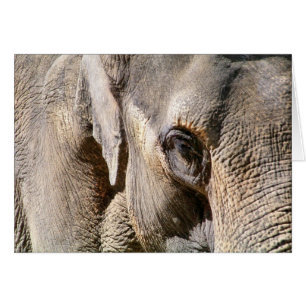 CARTE ÉLÉPHANT