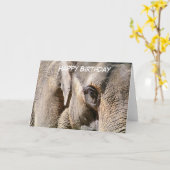 CARTE ÉLÉPHANT (Fleur jaune)