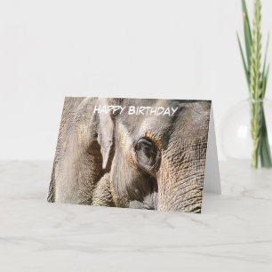 CARTE ÉLÉPHANT