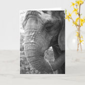 Carte Éléphant (Fleur jaune)