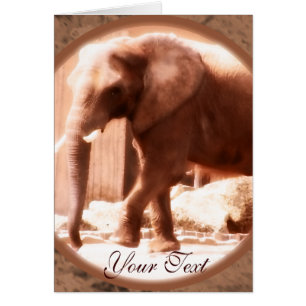 Carte Eléphant Africaine