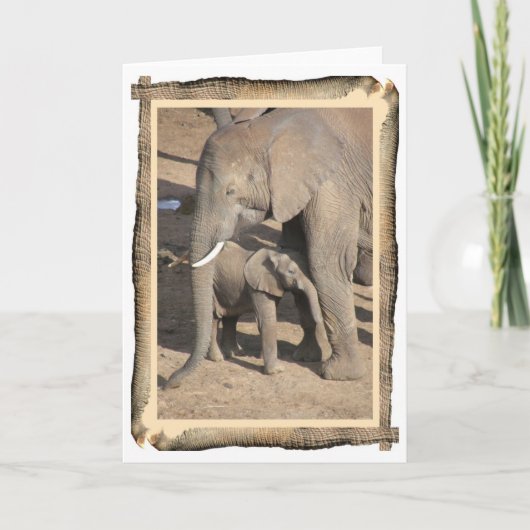Carte Elephant and Calf Card (Devant)