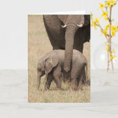 Carte Éléphant d'Afrique bébé avec sa mère (Fleur jaune)