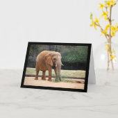 Carte Éléphant d'Afrique dans le parc (Fleur jaune)