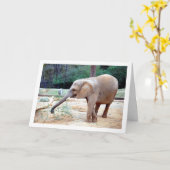 Carte Eléphant dans le portrait du parc (Fleur jaune)