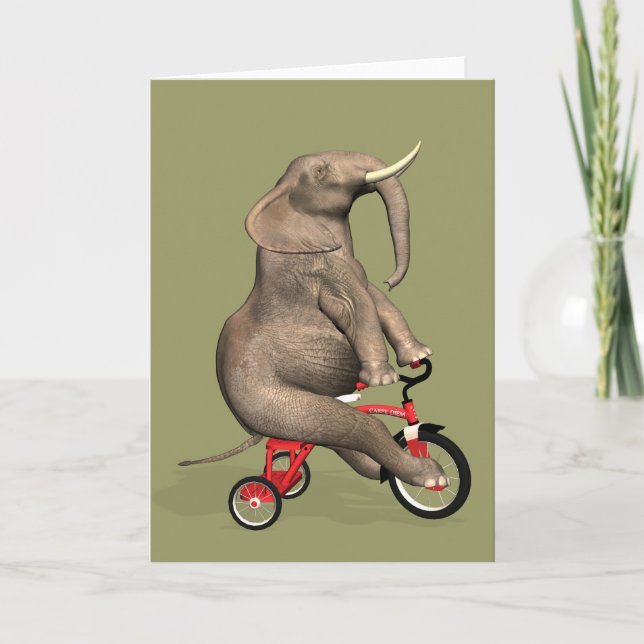 Carte Éléphant drôle montant un tricycle (Devant)