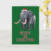 Carte Éléphant drôle Noël Vacances (Fleur jaune)