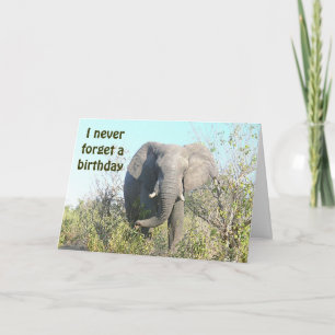 Carte ÉLÉPHANT "je NAISSANCE de /BELATED n'oublie jamais