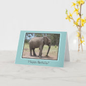 Carte Elephant Joyeux anniversaire (Fleur jaune)